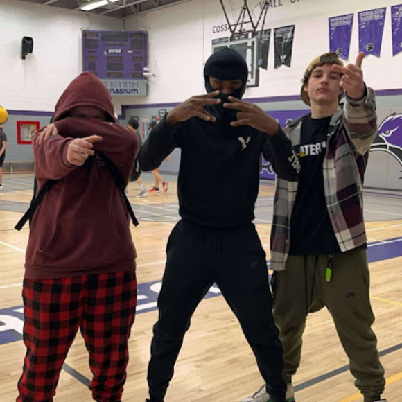 Meet your Posher, Drayden - Picture 1 of 1